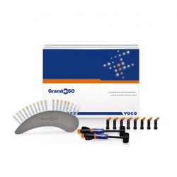 Composite Grandio SO Jeringa Incisal 4gr 